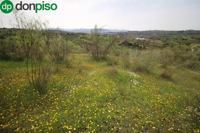 FINCA EN CORTIJO SAN JERÓNIMO (BARTODANO) — 15