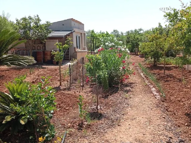 CASITA DE CAMPO EN PORRERAS - foto 2