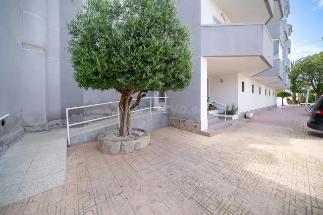 Apartamento 1 habitación 39m² en venta - Campoamor — 17