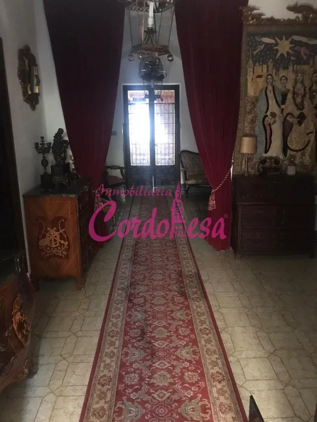 MAGNIFICA CASA SEÑORIAL EN VILLAVICIOSA DE CORDOBA — 14