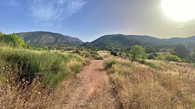 FINCA DE 6 Hectáreas con CASA CORTIJO para reformar — 6