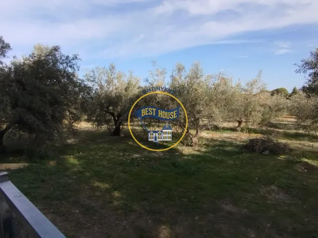 ¡¡¡OPORTUNIDAD!!! ENCANTADORA CASA DE CAMPO EN EXCLUSIVA EN ONTINYENT CON LUZ Y AGUA — 43