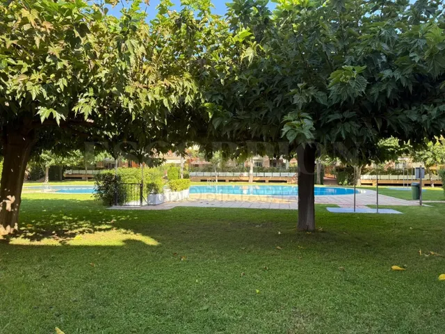 Piso en Alquiler en Campolivar - foto 4