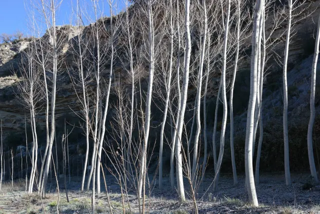 Los Tajos, monumento natural con casa y chiringuito. Finca en Alhama de Granada. — 7