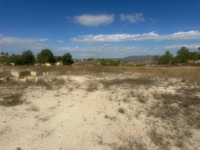 Terreno Rural Agrario de 13.000 m2 en Beties – Monóvar — 3