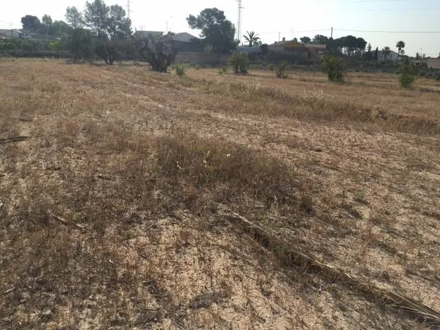 Parcela urbana de casi  30.000m2 en Elche - Zona Pena Las Aguilas — 11