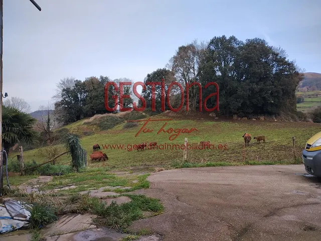 CASA DE PIEDRA CON AMPLIA PARCELA. ESCOBEDO DE VILLAFUFRE. — 7