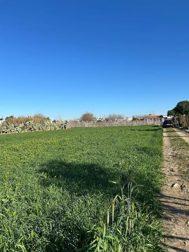 PARA LOS AMANTES DEL CAMPO Y NATURALEZA — 12
