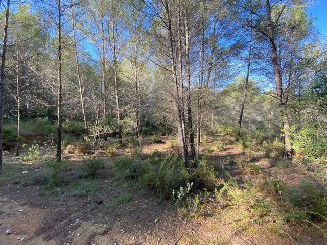 OPORTUNIDAD ENORME TERRENO EN VENTA POR 150.000€ — 16