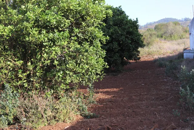 SOLAR URBANO CON FINCA RUSTICA — 5