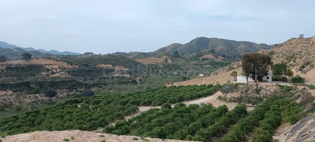 FINCA RÚSTICA EN CABEZO DE LA PLATA