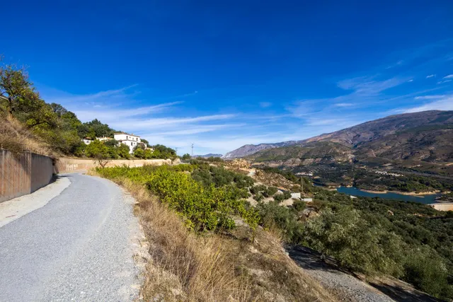 ¡Oportunidad única! Dos Fincas rústicas de mas de 15.000 m2 en total en Pinos del Valle. VENTA JUNTAS O SEPARADAS — 44