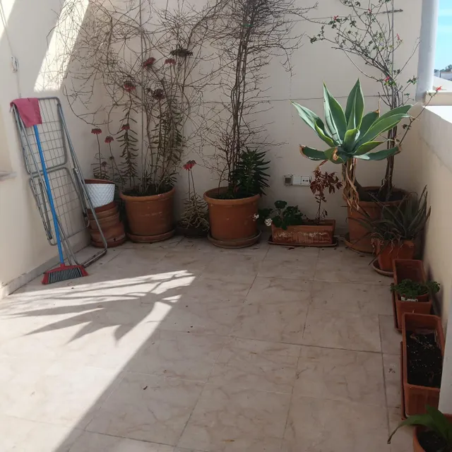 ATICO CON TERRAZA ALQUILER ANUAL — 18