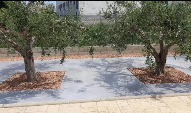 Fabulosa casa en venta en Deltebre — 8