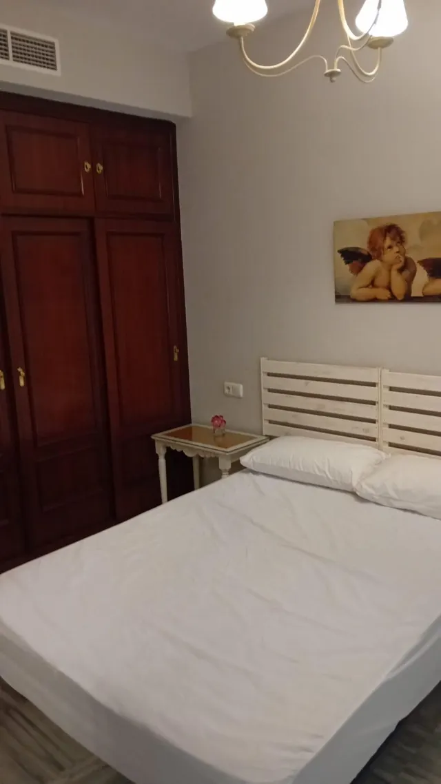 Centro San Vicente, calle Torneo, junto al Río. Excelente apartamento amueblado se alquila. Ascensor. — 21