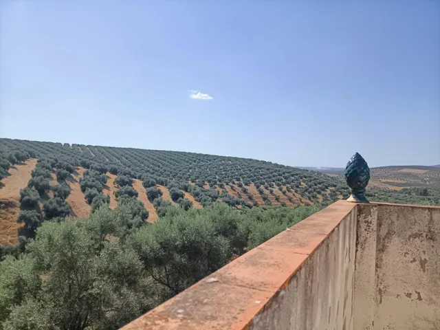Venta de 'Cortijo del Enamorado' en Lucena - Córdoba — 24