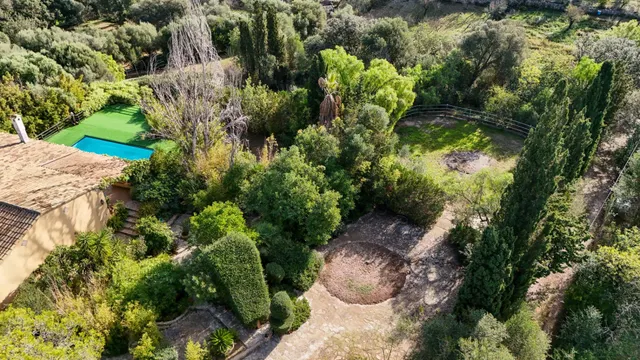 FINCA RUSTICA CON PISCINA EN INCA — 45