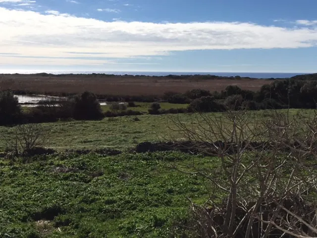C-7035 - Casa de campo en Son Bou — 14