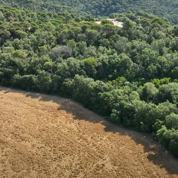 Masía histórica para rehabilitar con 19 hectáreas de terreno – Tossa de Mar — 19
