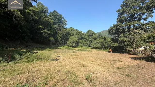 Finca Urbanizable con autorización de la CROTU y proyecto bá - foto 4