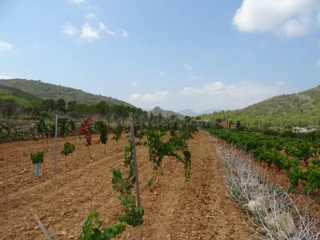 Terreno construible en Lliber - foto 2