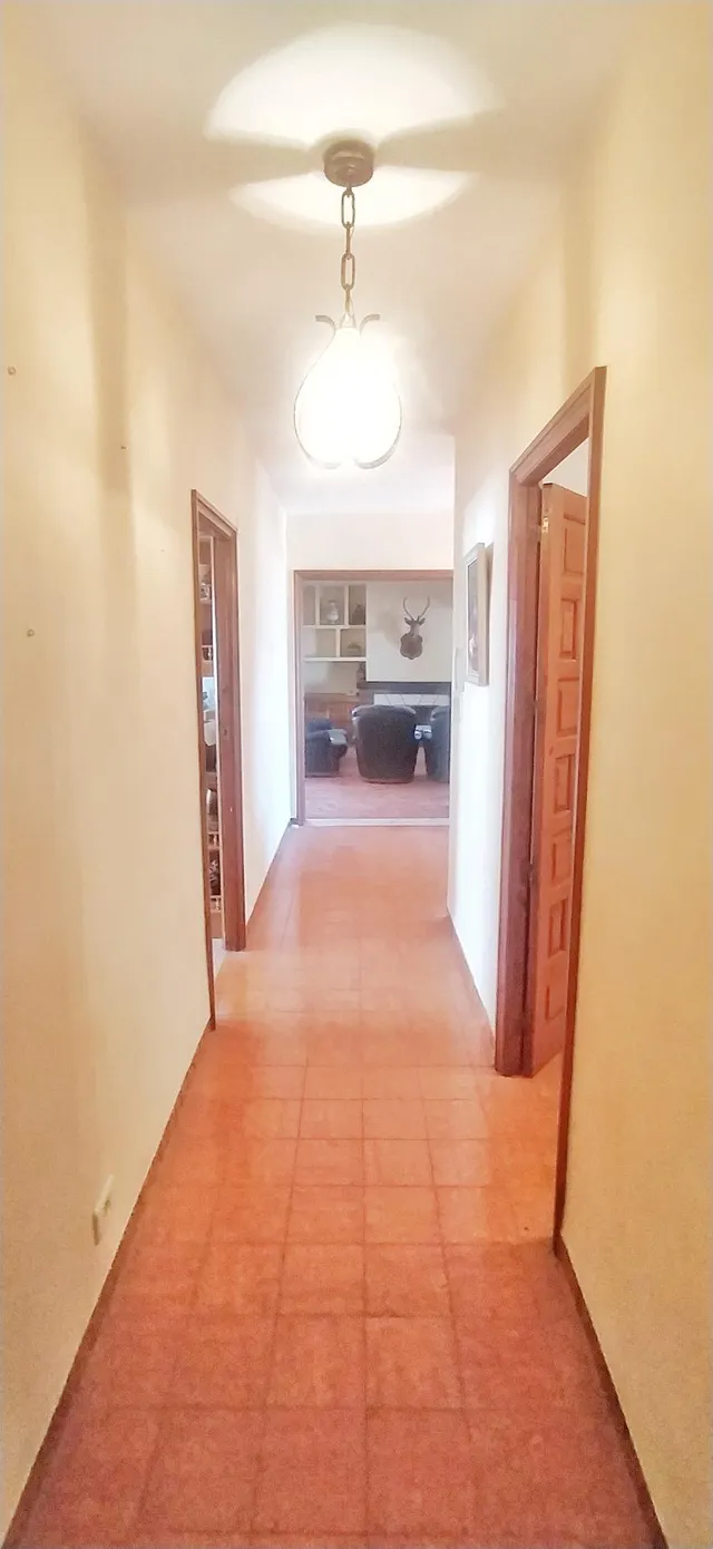 CHALET EN VENTA EL PTDA. LLANO DE SAN JOSE — 19