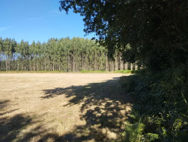 Finca en A Sabugeira, Begonte, Lugo - foto 2