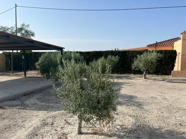 CAMPO DE FORTUNA 616652603 — 19