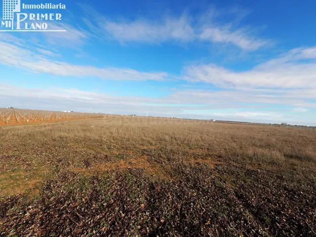 Se venden 10,4 de hectareas de tierra blanca en el termino d