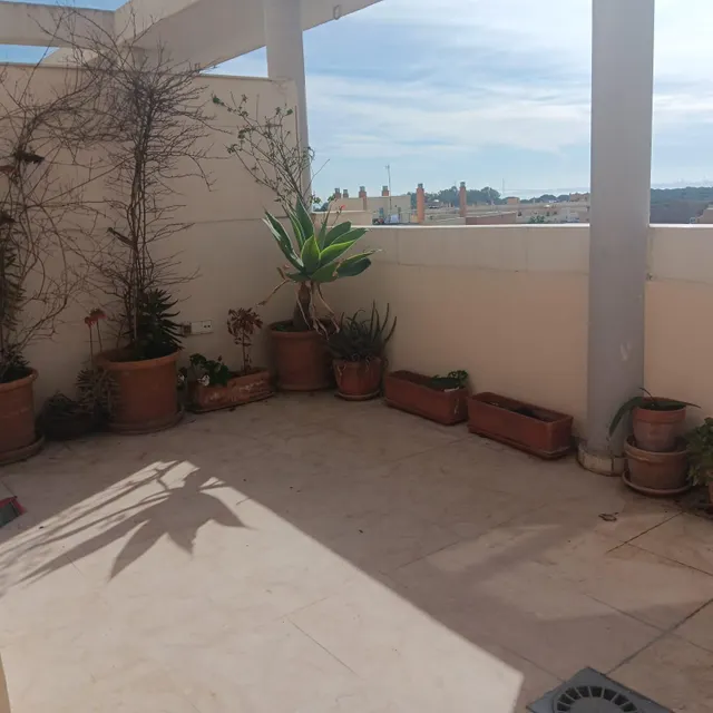 ATICO CON TERRAZA ALQUILER ANUAL — 19