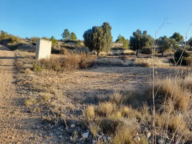 OCASION GRAN  FINCA EN PRODUCCION DE 8,4 HAS. EN CORBERA D´EBRE — 17