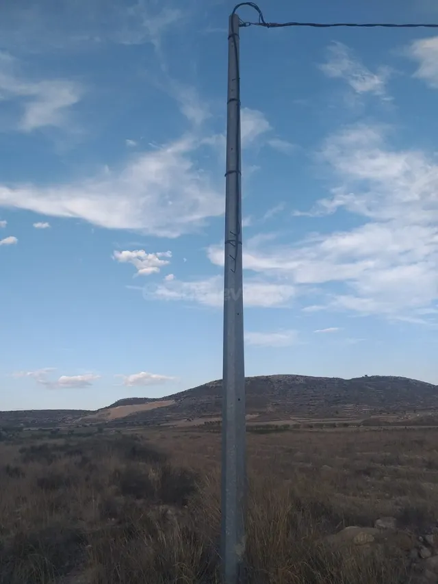 SE VENDE PARCELA EN JUMILLA - foto 5