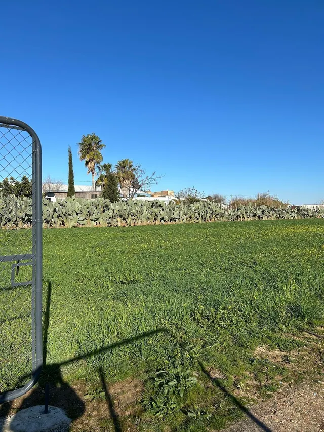 PARA LOS AMANTES DEL CAMPO Y NATURALEZA — 10