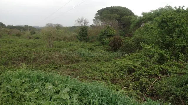 Parcela en Santa María de Trasierra (Córdoba) - foto 2