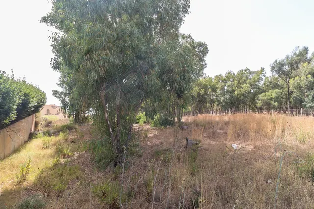 Parcela en venta - Costa del Sol — 6