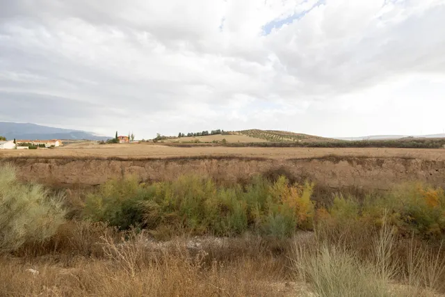 MAGNIFICO TERRENO URBANO EN LA MALAHA MUY CERCA DEL POLIGONO INDUSTRIAL DE ESCUZAR — 11