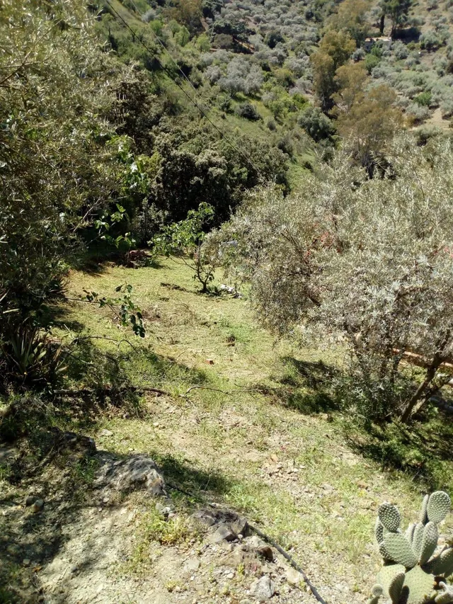 Finca rústica a la venta en Comares — 23