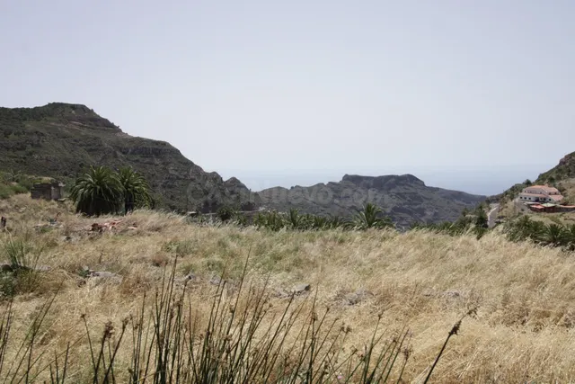 Venta de Terreno de 6,554 m2 con Vivienda en La Gomera Vegai - foto 5