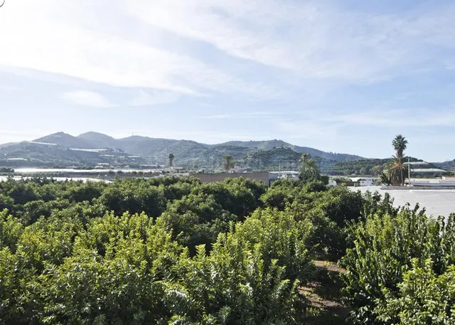 Venta invernadero con construcción en zona Pueblo Nuevo-Puntalón — 19