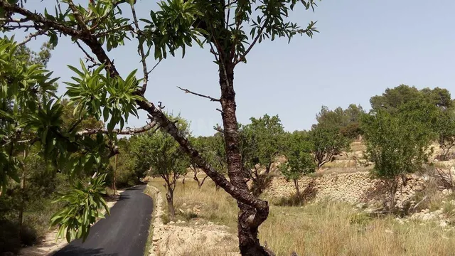 Parcela en venta - Benissa pueblo - foto 5
