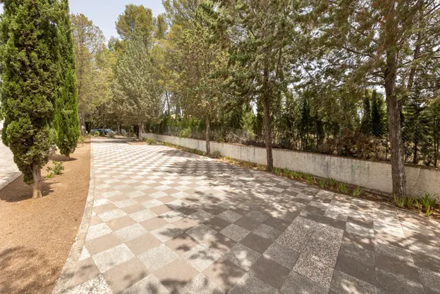 EXCLUSIVO TERRENO EN VENTA EN ALBOLOTE — 4