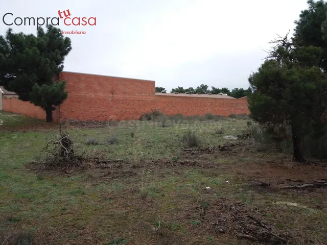 VENTA.-.PIMPOLLADAS.-.NAVAS DE ORO.-.DOCUMENTACION AL DIA.- - foto 5