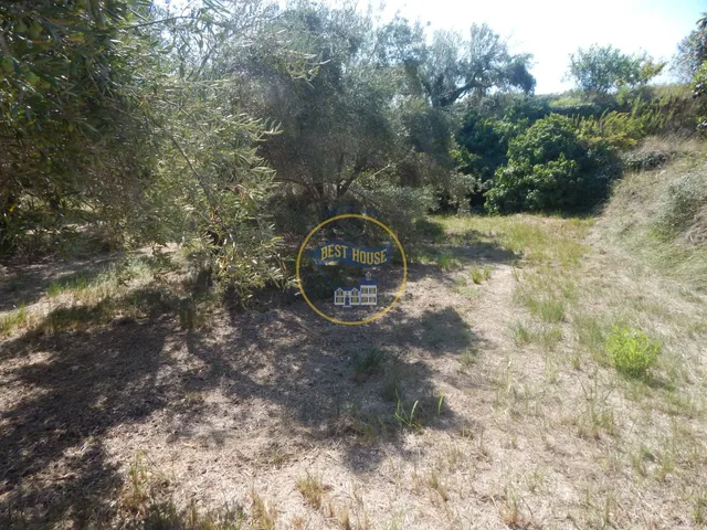 OPORTUNIDAD PARCELA DE REGADÍO CON ÁRBOLES FRUTALES EN PLENA PRODUCCION EN ONTINYENT — 22