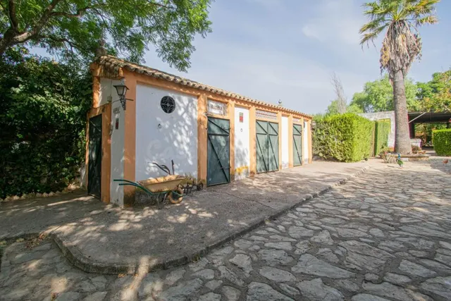 Espectacular finca en carretera mairena - almensilla !!! — 51