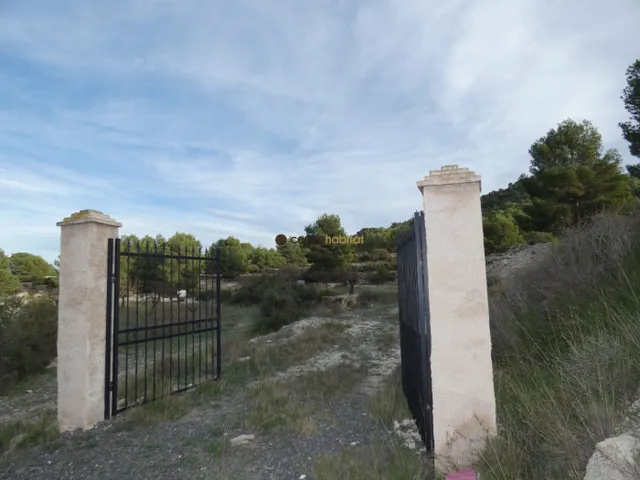 Parcela de 10.041m2 en Monovar - Collado Victoriano — 15