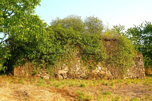 Casa de piedra con gran finca, sol y vistas al valle en A Estrada — 3