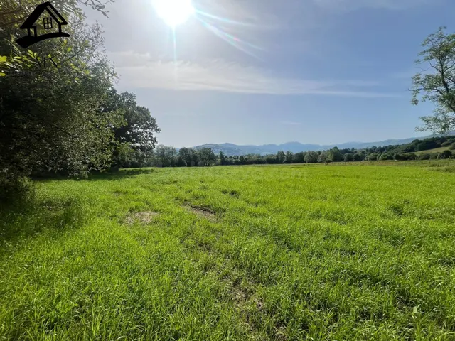 Finca de 3.849 m2 con todos los servicios: ideal para una gr - foto 4