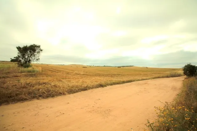 PARCELA CTRA. OLIVENZA. — 2