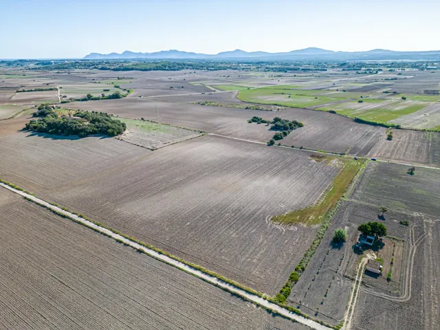Terreno de 42.618m2 con Proyecto Basico y Ejecutivo Aprobados, mas Licencia para casa de 204 m2 — 12