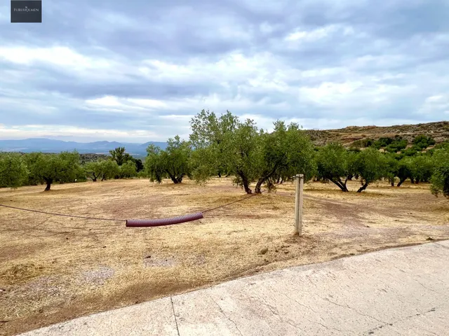 NIVAR - FINCA DE OLIVOS — 10
